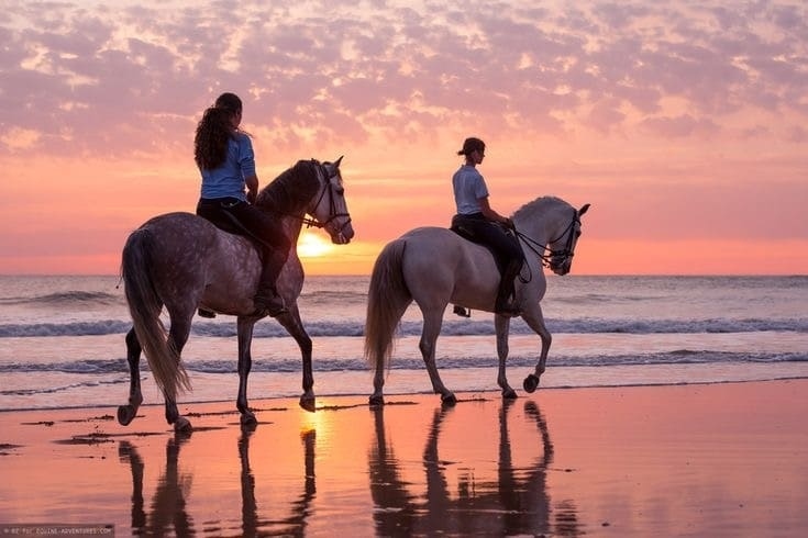 image-Agadir or Taghazout Flamingo River Horse Ride with Tea & Cakes