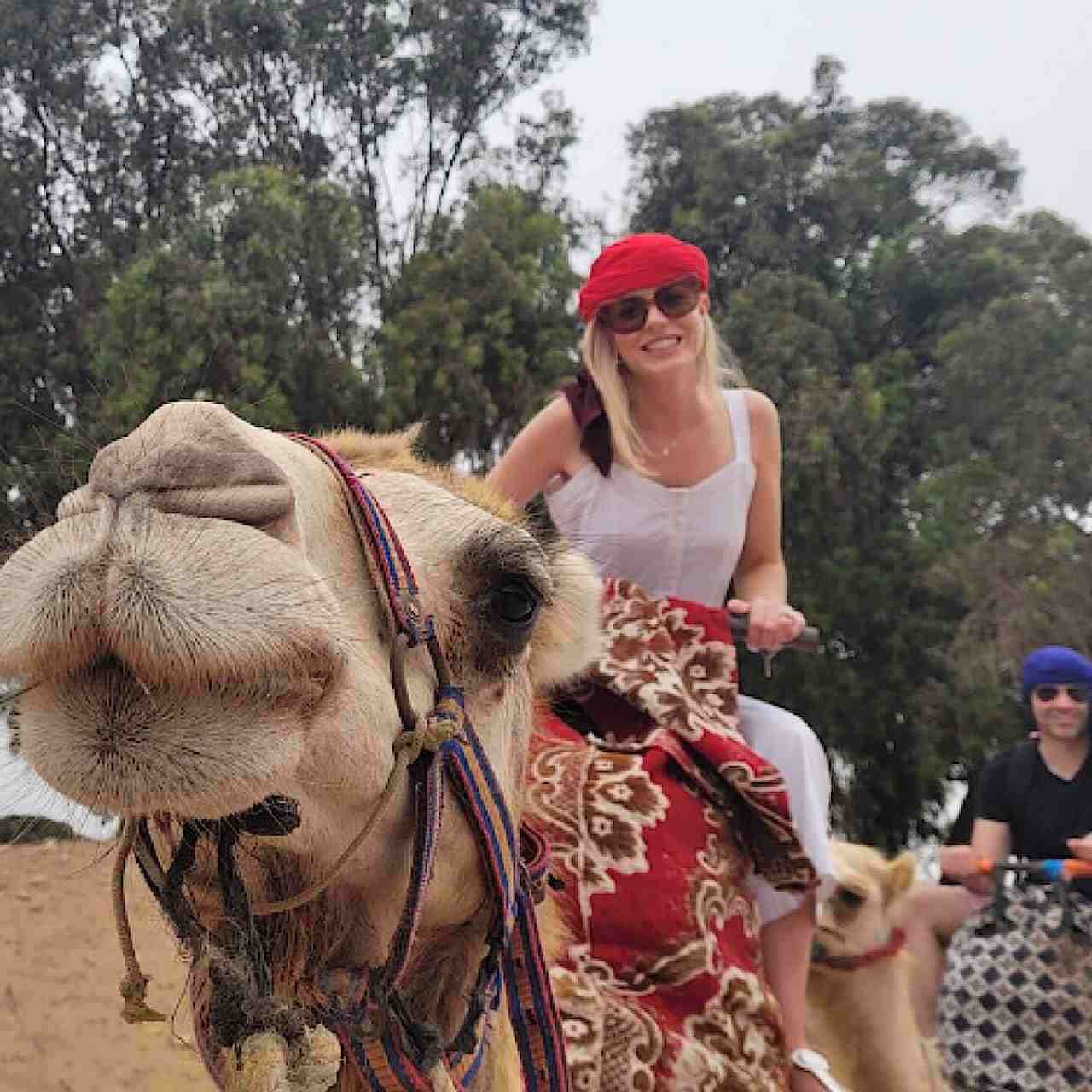 image-Agadir or Taghazout  Flamingo River Camel Ride with Tea & Cakes